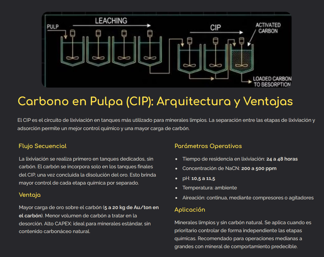 Carbono en Pulpa (CIP): Arquitectura y Ventajas